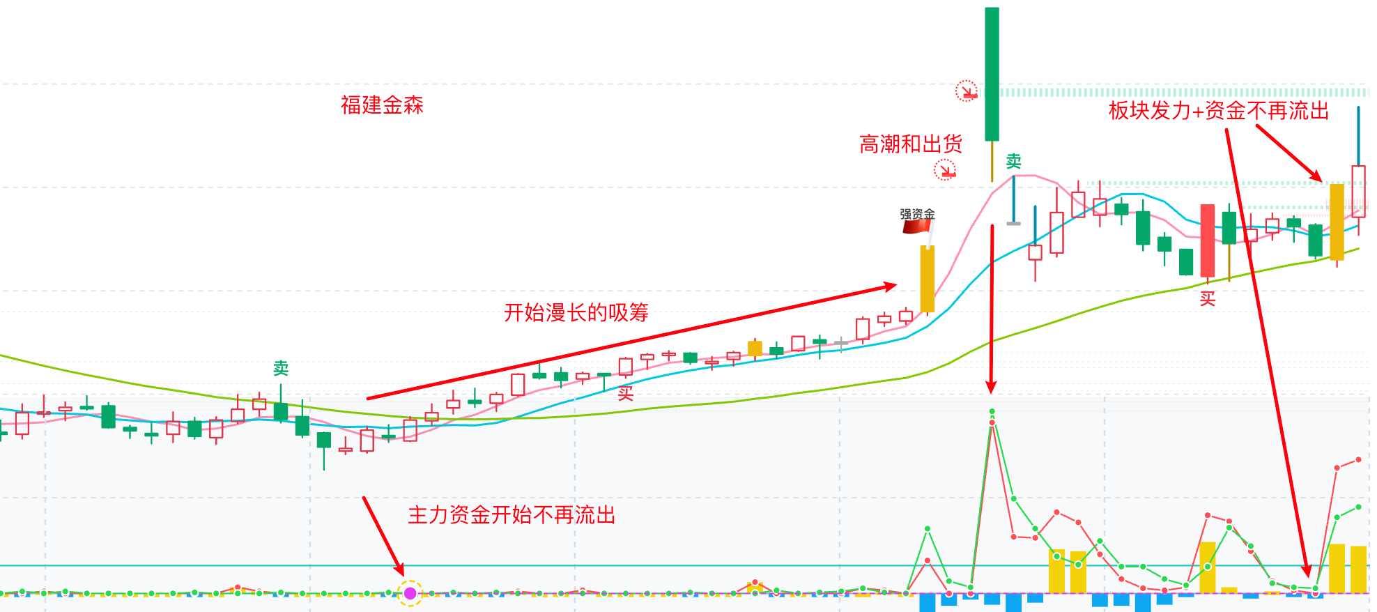关注一下 福建金森