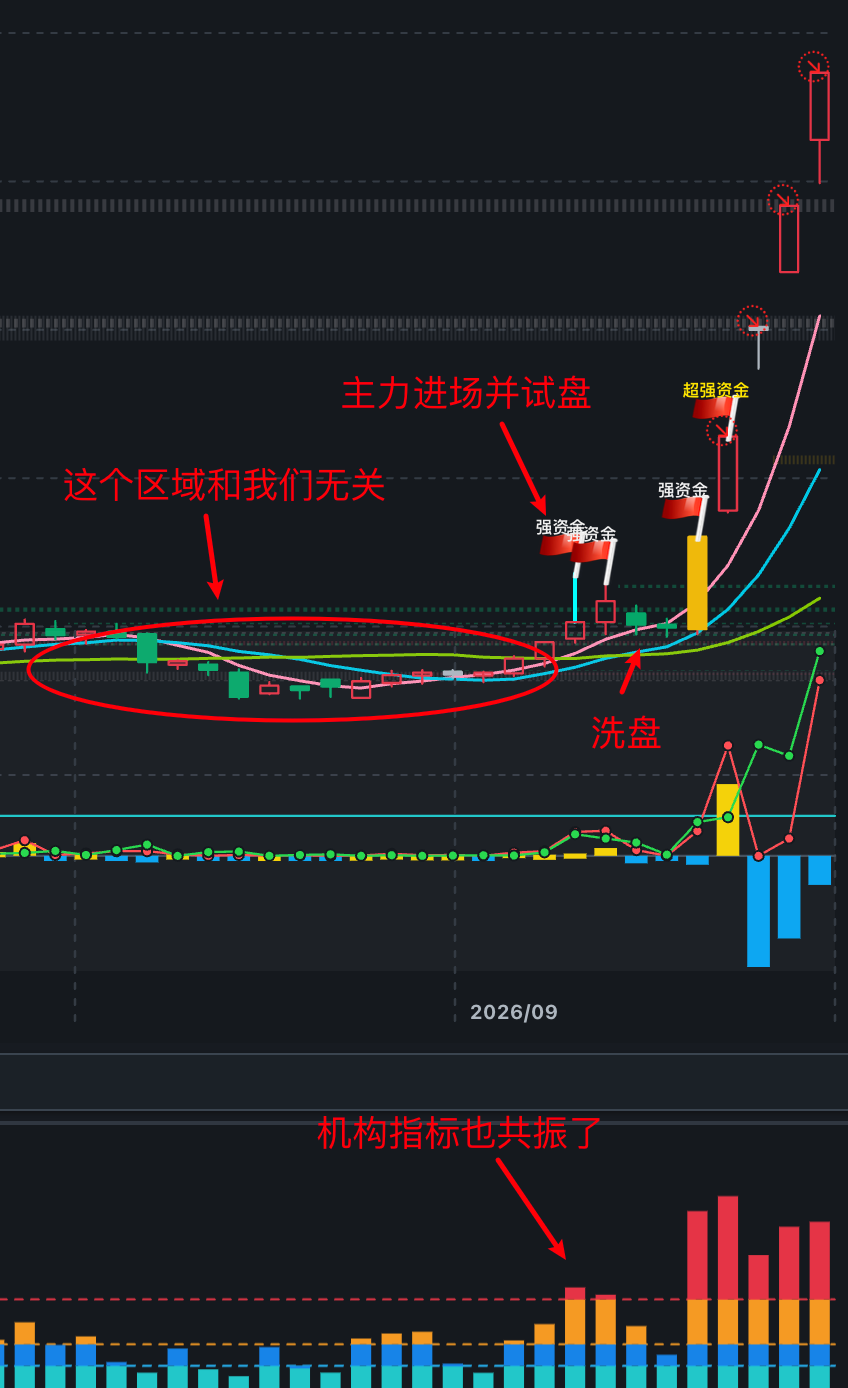 paste-20260915-211436.png